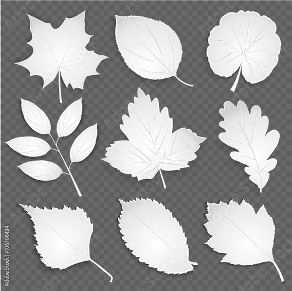 Obraz Eco  white cut paper leaves collection. Vector illustration