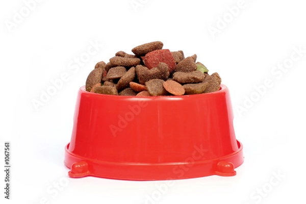 Obraz petfood