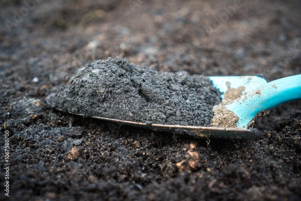 Fototapeta Close-up of biochar and rock dust on a gardening shovel, used to enhance soil quality / Concept:  Permaculture Soil Enhancement with Biochar and Terra Preta
