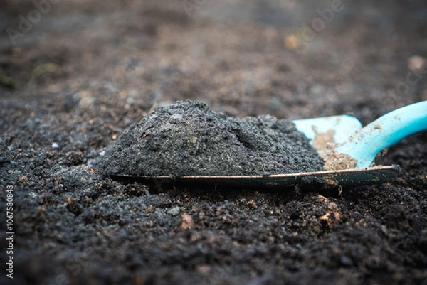 Fototapeta Close-up of biochar and rock dust on a gardening shovel, used to enhance soil quality / Concept:  Permaculture Soil Enhancement with Biochar and Terra Preta