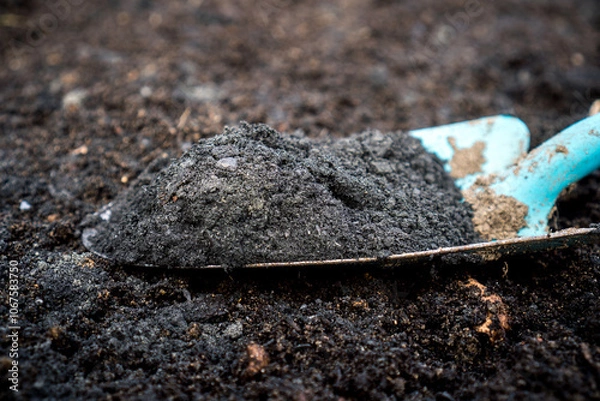 Fototapeta Close-up of biochar and rock dust on a gardening shovel, used to enhance soil quality / Concept:  Permaculture Soil Enhancement with Biochar and Terra Preta