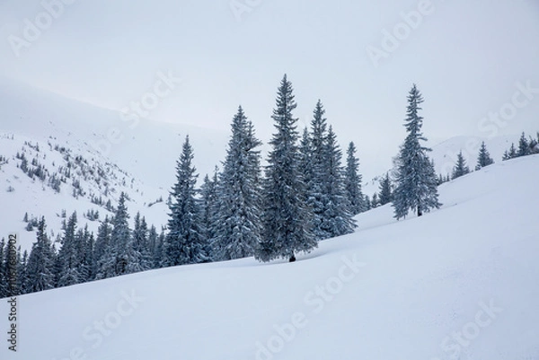 Obraz A serene winter landscape with a thick blanket of snow and a view of the mountains.
