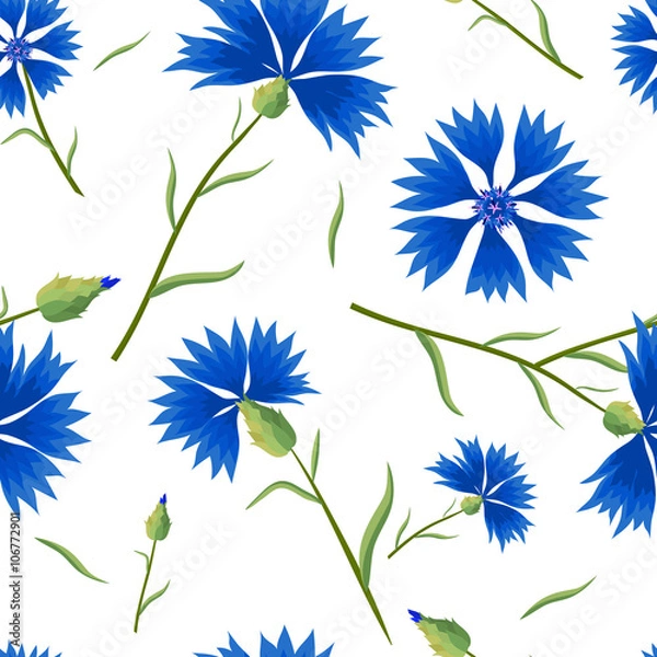 Fototapeta Seamless Pattern with Cornflowers