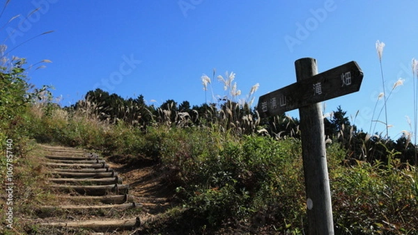 Obraz ススキの絶景で知られる岩湧山の山頂付近：大阪奥河内の観光名所