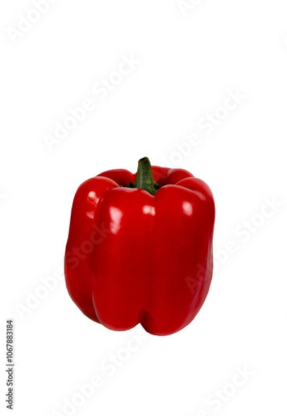 Obraz red paprika isolated on white background