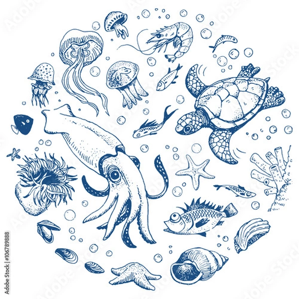 Obraz Sea life hand drawn set
