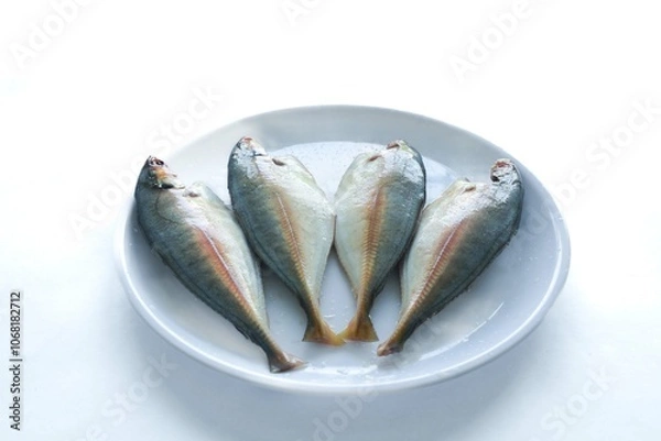 Obraz Fresh Bluefin fish