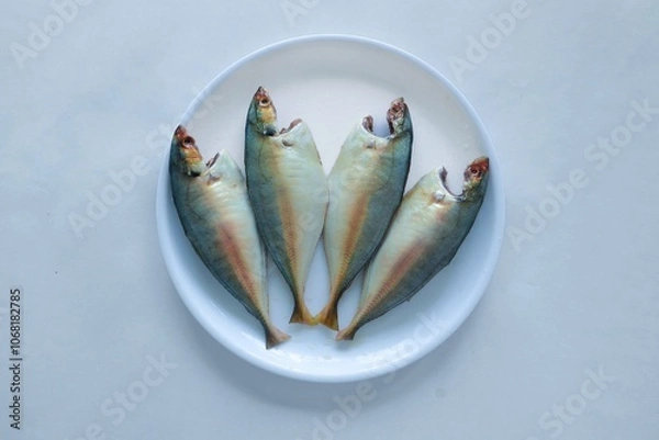 Obraz Fresh Bluefin fish