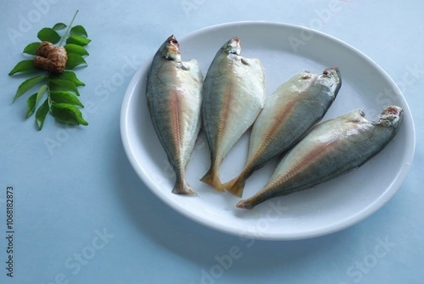 Obraz Fresh Bluefin fish