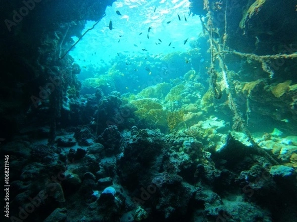 Obraz Inside another world 