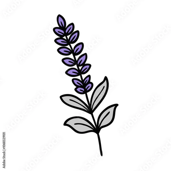 Fototapeta salvia flower vector icon, vector flower illustration, flower icon - simple vector illustration of a salvia flower, ideal for floral designs, botanical art, and nature-themed projects..
