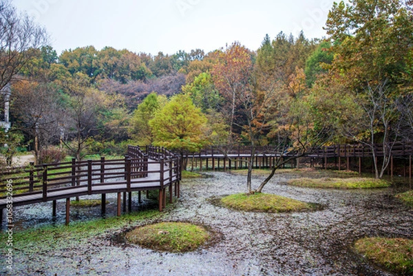 Obraz 오산 물향기수목원