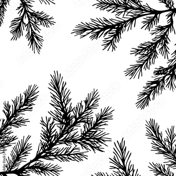 Fototapeta fir branch silhouette