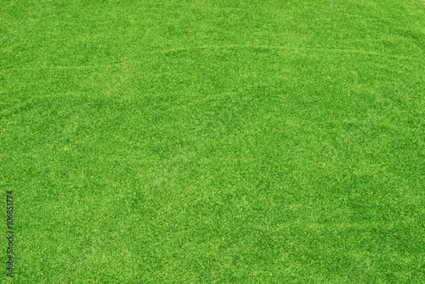 Obraz Artificial grass for background