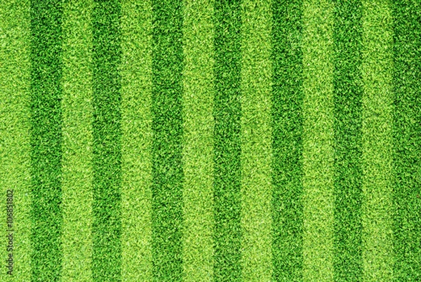 Obraz Artificial grass for background