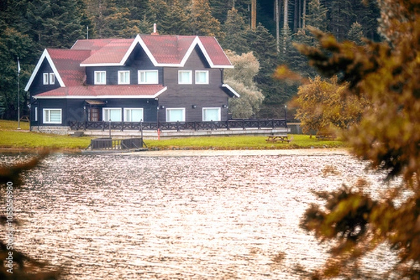 Fototapeta A national park in Turkey (bolu goöcük) lake house within the national park. Does not require property rights.