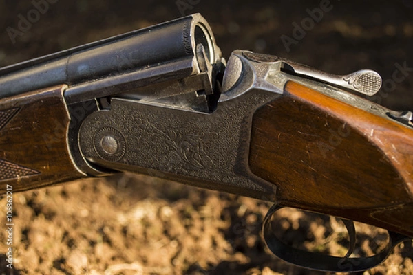 Obraz Shotgun in the field