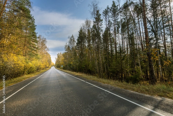 Fototapeta A road with trees on either side and a clear blue sky