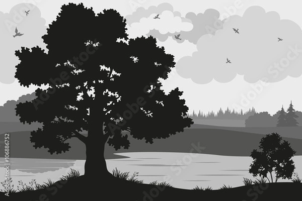 Fototapeta Evening Forest Landscape, Oak Trees, Bushes and Grass on the River Bank and Birds in the Cloudy Sky, Black and Grey Silhouettes on White Background. Vector