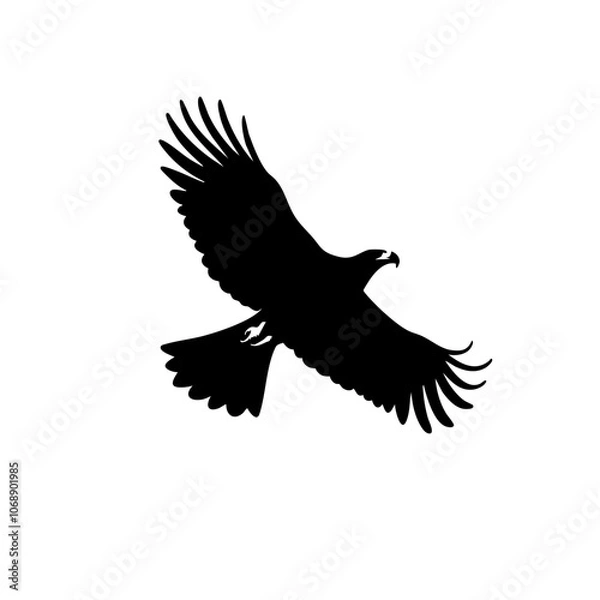 Obraz A majestic hawk soars gracefully against a blank expanse, showcasing its powerful wings and keen silhouette as it navigates through the sky, embodying freedom and agility