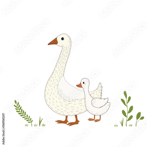 Fototapeta Card with cartoon gooses and field grass on white background