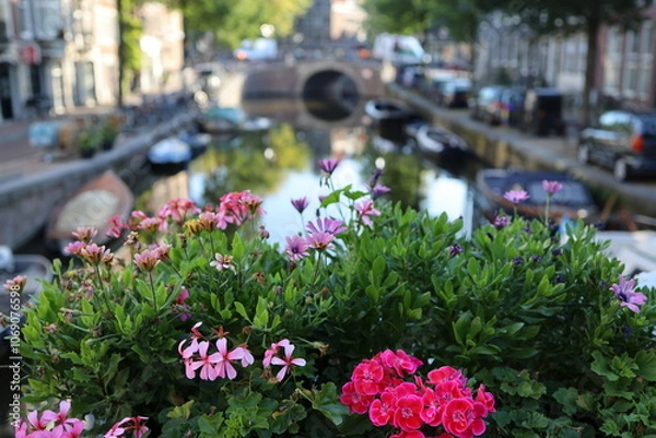 Obraz flowers in the city