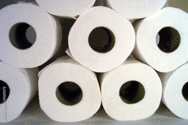 Obraz toilet papers