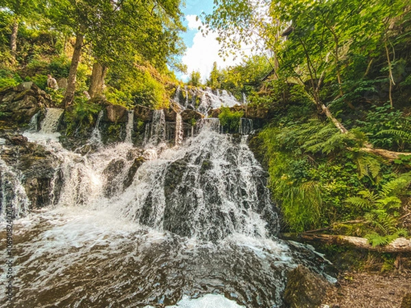 Obraz waterfall in the forest
