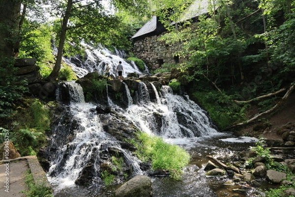 Obraz waterfall in the forest