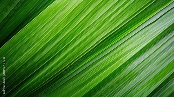 Fototapeta A close-up view of vibrant green leaves displaying texture and natural patterns, emphasizing freshness and vitality.