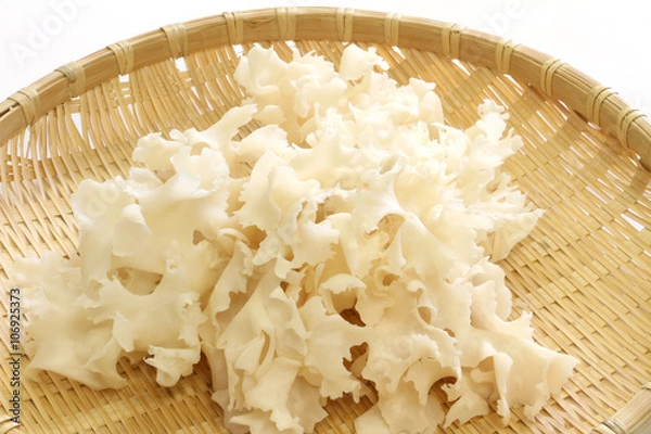 Obraz ハナビラダケ