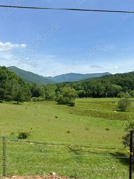 Obraz landscape with mountains
