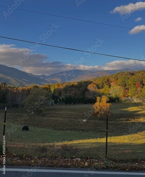 Obraz valley in autumn