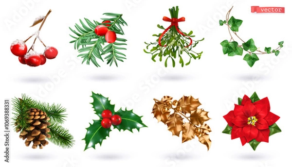 Fototapeta Christmas decorations. Rowan, yew, mistletoe, ivy, spruce, holly, poinsettia. 3d realistic vector set