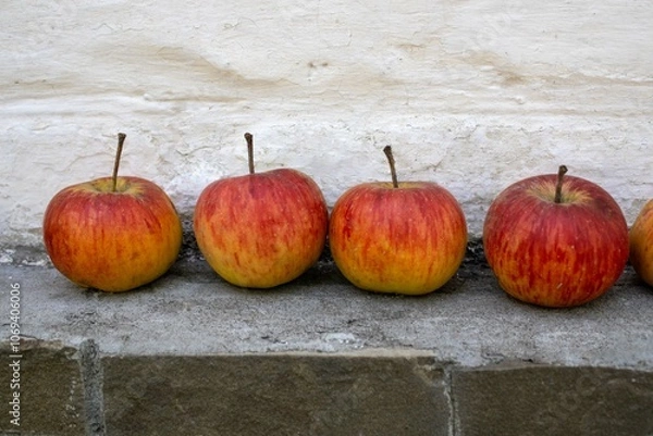 Fototapeta apples on the wall