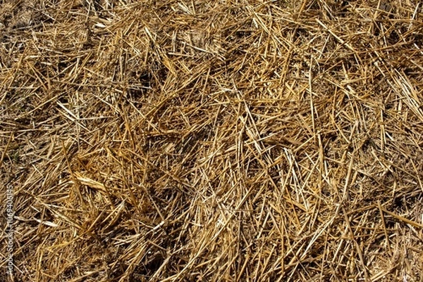 Fototapeta straw bale background
