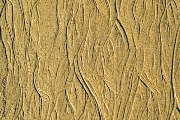 Obraz texture background