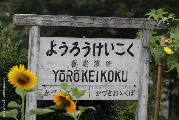 Obraz 養老渓谷駅