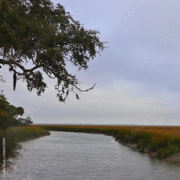 Obraz tree on the lake