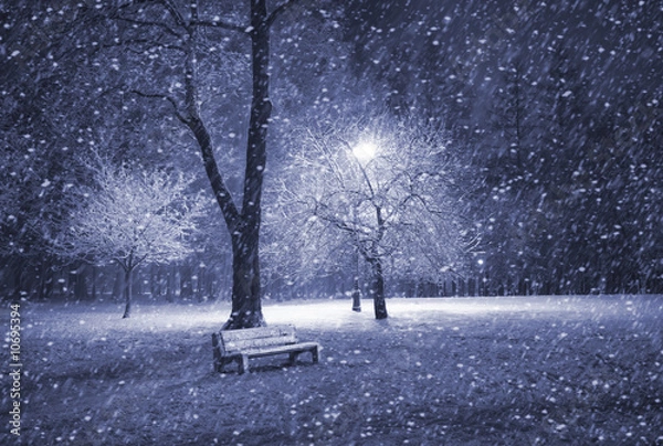 Obraz Winter park at night