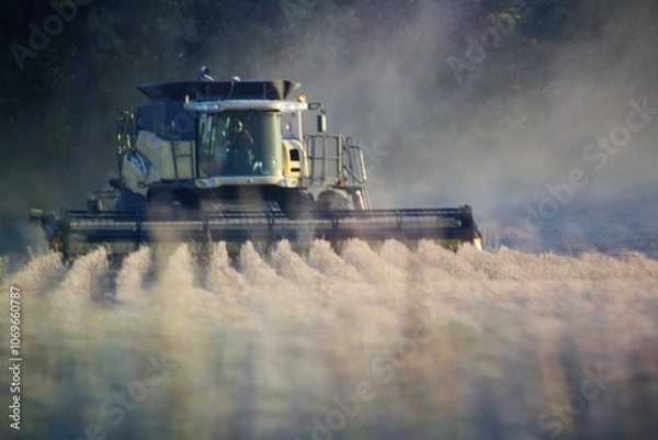 Obraz tractor working in the field