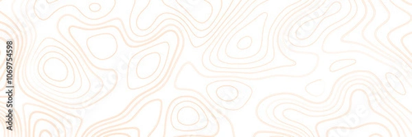 Fototapeta Topographic map background concept. Topo contour map. Rendering abstract illustration. Vector abstract illustration. 