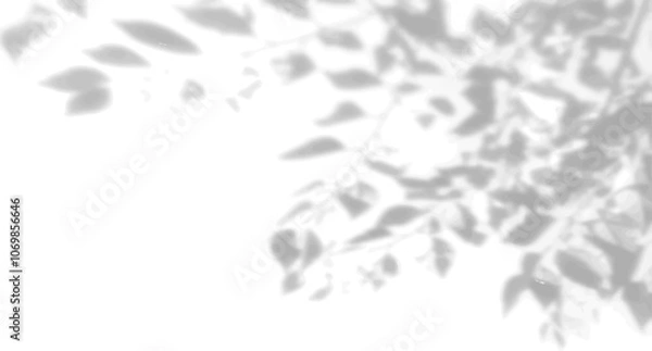 Fototapeta The shadow of many tree leaves on a white wall. Black and white image for photo overlay or mockup