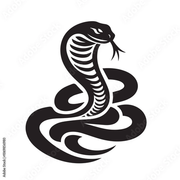 Obraz cobra snake silhouette - animal vector - black and white snake - Abaco Island boa
Amazon tree boa
Boa constrictor
Cuban boa
Dumeril's boa - Mountain adder snake