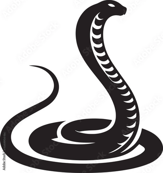 Obraz cobra snake silhouette - animal vector - black and white snake - Abaco Island boa
Amazon tree boa
Boa constrictor
Cuban boa
Dumeril's boa - Mountain adder snake