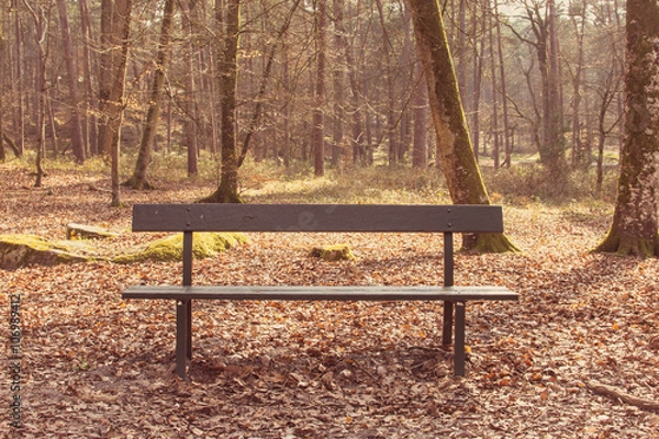 Obraz One empty bench on the forest