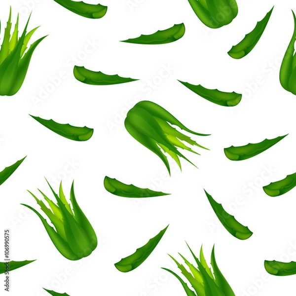 Fototapeta Aloe Vera isolated on white
