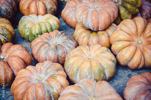 Obraz Several pumpkins