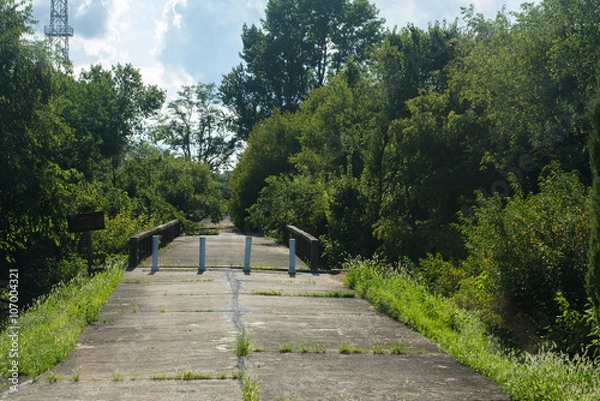 Obraz Bridge of No Return