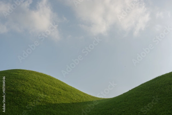 Obraz Detail view of Tombs in Gyeongju, South Korea